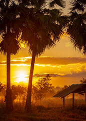 Silhouetted palm trees and rustic shelter at golden sunset in a tropical rural landscape, glowing orange sky and warm evening light creating peaceful nature scenery for travel and countryside themes. © Fahroni