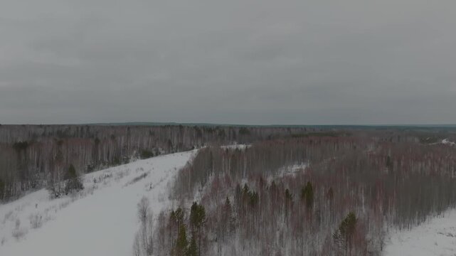High angle aerial view over a snow covered clearing cutting through dense mixed woodland of bare deciduous trees and dark pines on a cold cloudy winter day in remote countryside