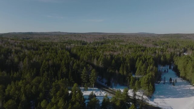 High angle drone view over lush green pine and spruce treetops in a vast wild woodland area with snow patches and country asphalt road winding through scenic natural landscape