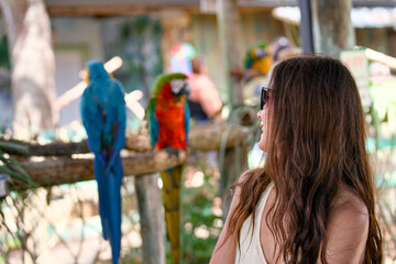 Woman watching colorful macaws in an aviary © Moiseii Production