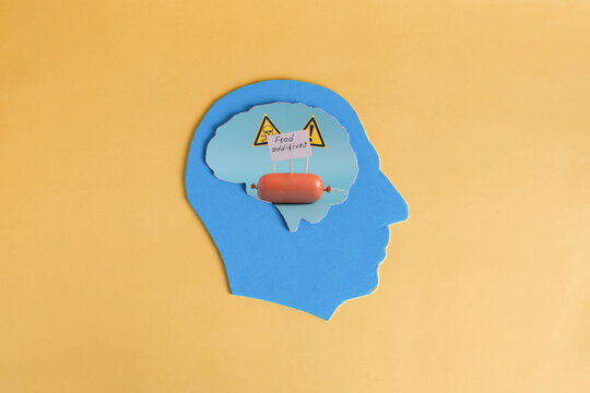 The silhouette of a human head with an inverted brain, inside which there is an inverted brain and thoughts about food additives. The concept of harmful food additives.