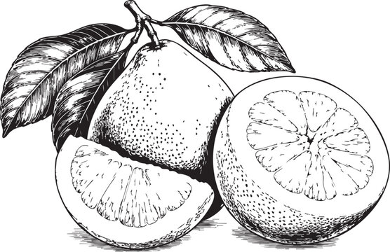 pomelo, fruit with slice