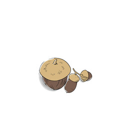 Cute autumn acorn clip art element for design © Shineshystudios