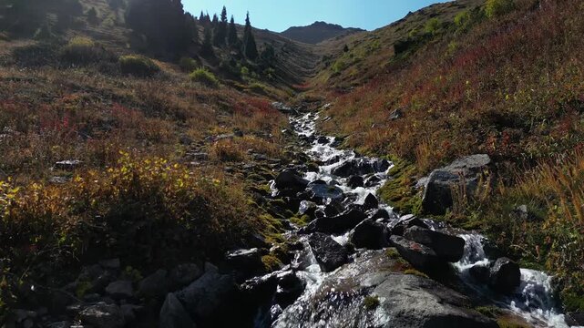 Wilderness conservation and nature exploration, mountain stream flowing through a rocky valley in autumn, cinematic landscape b-roll