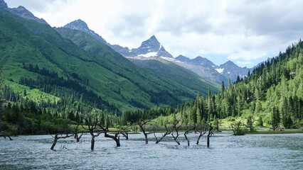 Fototapeta premium Landscape of the lake and greenery forest with four girls mountain range in Bipenggou, Chengdu China