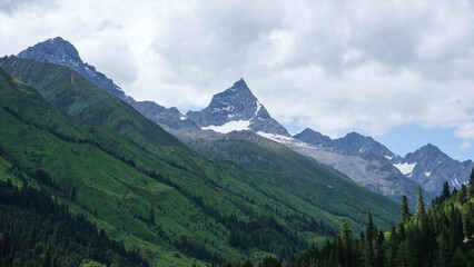 Fototapeta premium Landscape of the snow mountain range and pine trees forest in Chengdu China