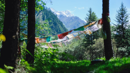 Fototapeta premium The mountain range and greenery forest with prayer flag blowing in the wind, Chengdu China
