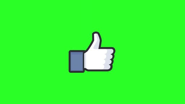 Facebook Style Thumbs Up Like Icon Isolated on Green Screen Chroma Key Background Vector Motion Graphic Asset   