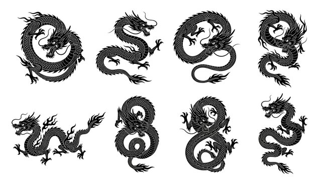 Detailed black and white vector illustrations depicting various traditional Asian dragons posed in dynamic curling shapes isolated against a clean white background for creative projects