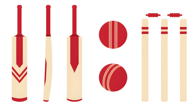 Cricket bats ball stumps arranged flat vector style illustration on white background for sports design elements