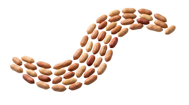 Raw peanuts with skins arranged in a wave pattern, isolated on white background. Organic groundnuts in a curved line, healthy snack ingredients.