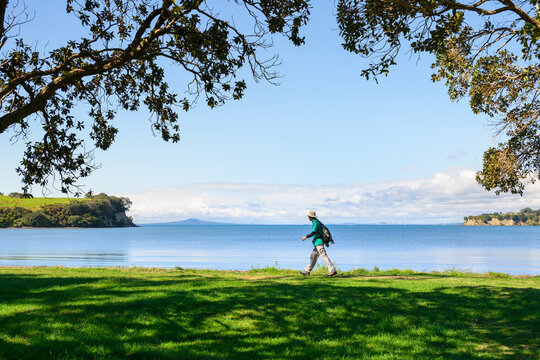 Hiker walking on the beach framed by Pohutukawa trees. Rangitoto Island in the distance. Shakespear Regional Park. Auckland.