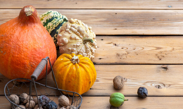 autumnal vegetables and fresh nuts in a little basket  squash and decorative gourd  on a wooden table
