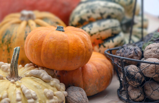 closeup on decorative gourds with heap of little be jack squash, autumnal vegetables and fresh nuts