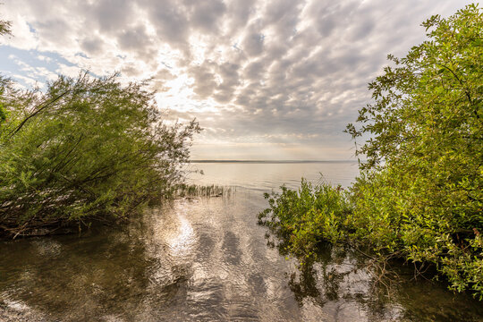 Morgend&auml;mmerung an der M&uuml;ritz im Sommer