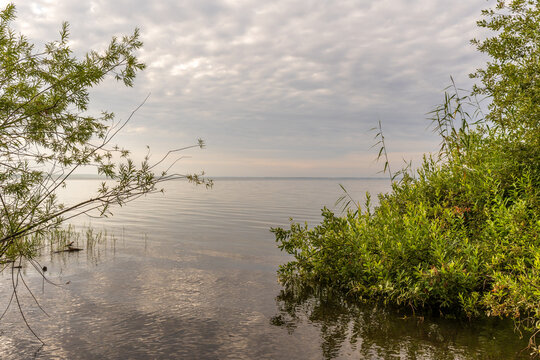 Morgend&auml;mmerung an der M&uuml;ritz im Sommer
