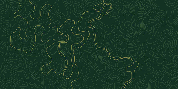 Dark green topographic map pattern with glowing geographic elevation lines topography seamless abstract monochrome geometry cartography landscape background structure