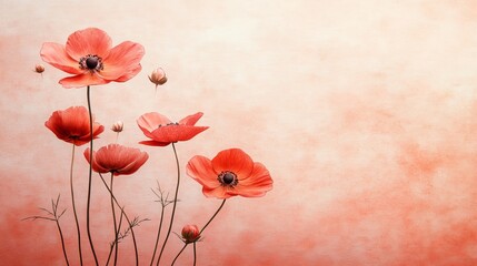 Fototapeta premium A dreamy illustration featuring delicate blooming orange cosmos flowers under pastel light canvas.