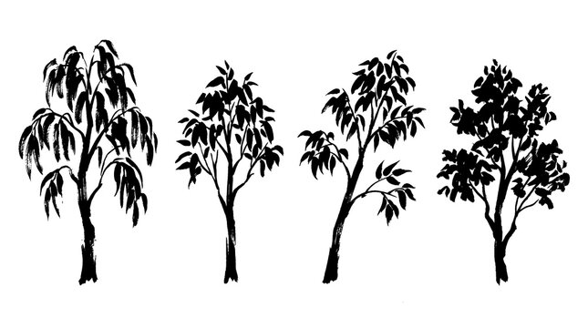 eucalyptus tree , Japanese ink brush painting set PNG