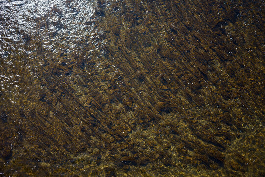 Abstraction from river underwater vegetation