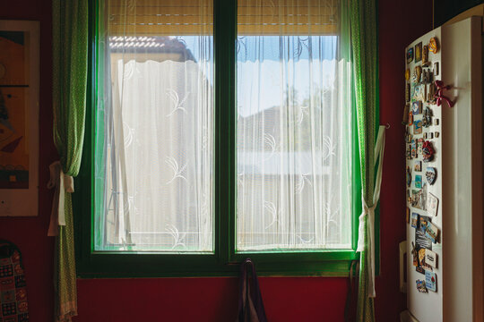 In front of the kitchen window on a sunny day