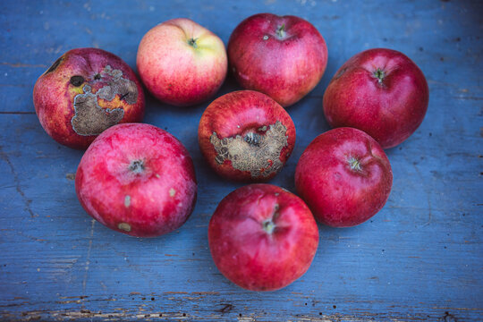 Red unpeeled apples on a board