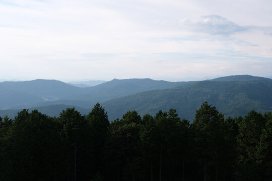Layered mountain ridges and forest under a soft summer sky