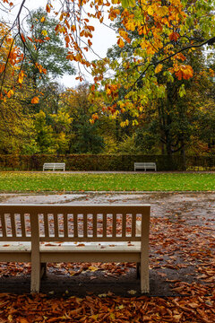 White wooden bench covered with autumn leaves in Royal Łazienki Park in Warsaw, Poland.
