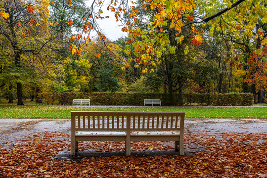 White wooden bench covered with autumn leaves in Royal Łazienki Park in Warsaw, Poland.