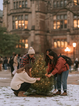 Group of Young Friends Decorating Small Christmas Tree Outside Historic Building