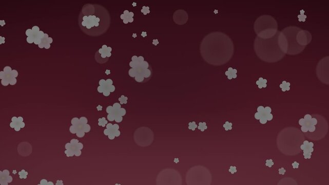 Japanese plum blossom (ume) seamless loop, traditional Japanese style background with drifting flowers in deep red and pink for New Year