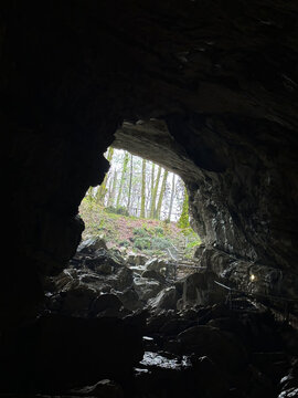 View from a dark cave to a spring forest, Vorontsov Caves, Sochi, Russia
