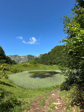 Small alpine lake with forest path, Caucasus, Russia