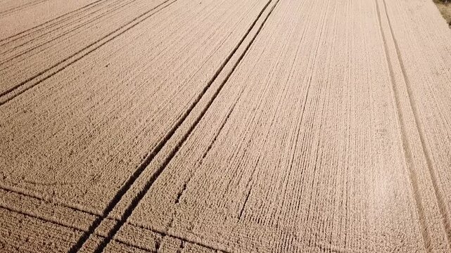 Farmland video of German landscape