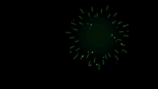 Multiple Colorful Fireworks Exploding in the Dark Night Sky.
