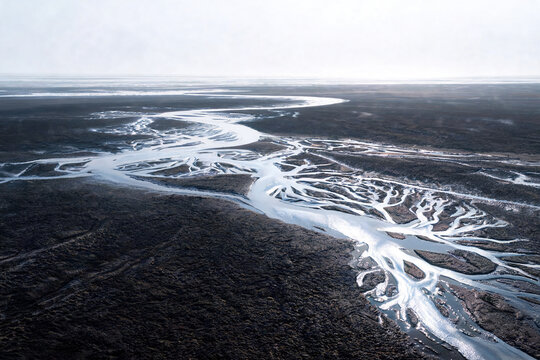 Reflective tidal channels winding across a dark coastal mudflat