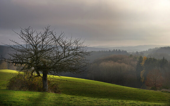 in der Eifel