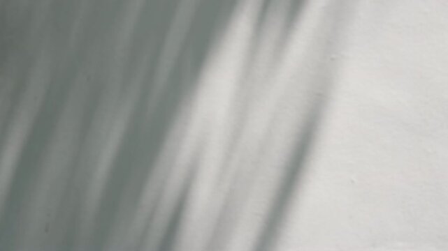 Diagonal leaf shadows swaying across clean white wall backdrop under daylight for serene presentation overlay