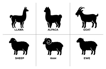 Fototapeta premium Farm animal silhouettes set with llama, alpaca, goat, sheep, ram and ewe for agriculture or pet logos