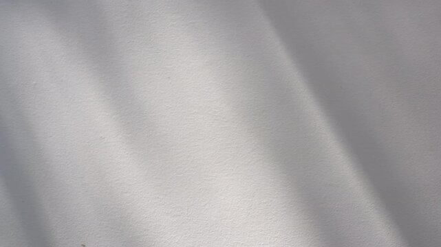 Soft branch shadow moving in gentle breeze across white wall with diagonal sunbeams and copy space for serene presentation backdrop