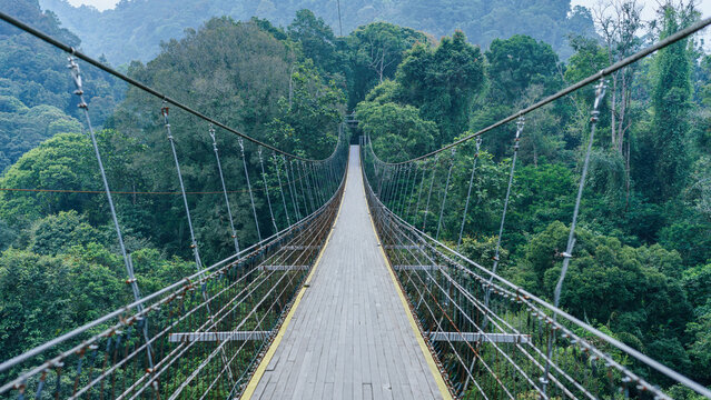 Sukabumi Hanging Bridge. Java