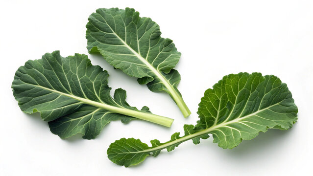 Fresh broccoli leaves with natural texture isolated on white