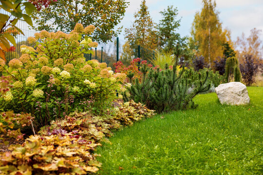 Beautiful landscaped backyard garden in autumn with ornamental shrubs, pine trees, decorative rock and green lawn