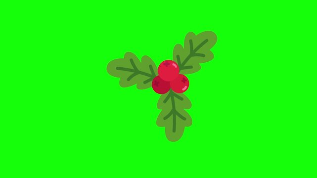 Festive cartoon holly illustration with vibrant red berries and green leaves on chroma key