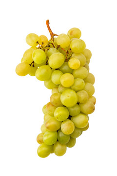 Ripe and fresh bunch of green table grapes with juicy berries, isolated. Perfect for healthy eating, agricultural, or food photography concepts.