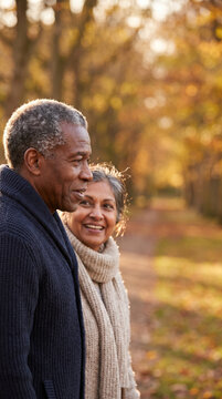 Golden autumn light wraps around an older couple walking side by side. They smile softly, sharing quiet contentment in the season's warmth. Draped in cozy knitwear. Fall leaves carpet the ground