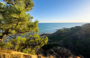 serene rocky coastline with crashing waves and aerial view of cliffs and ocean sand in natural setting, travel photography background for nature and landscape themes. © Angelov