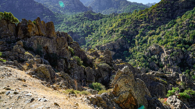 La strada che collega Corte alla costa occidentale della Corsica attraversa panorami di montagna mozzafiato aperti su grandi vallate per poi insinuarsi nello stretto Canyon della Ruda.