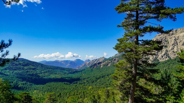 La strada che collega Corte alla costa occidentale della Corsica attraversa panorami di montagna mozzafiato aperti su grandi vallate per poi insinuarsi nello stretto Canyon della Ruda.