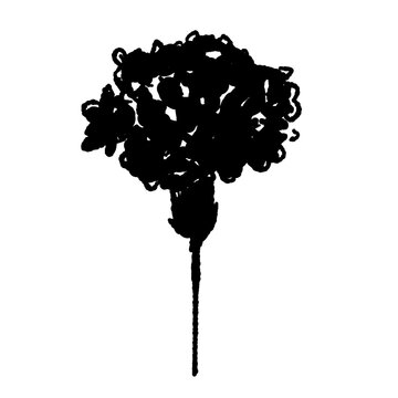 Carnation Flower with Ribbon Silhouette Vector